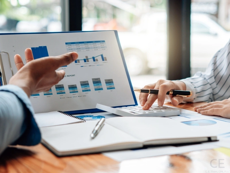 Analyst reviews data and pinpoints small business expense categories. 